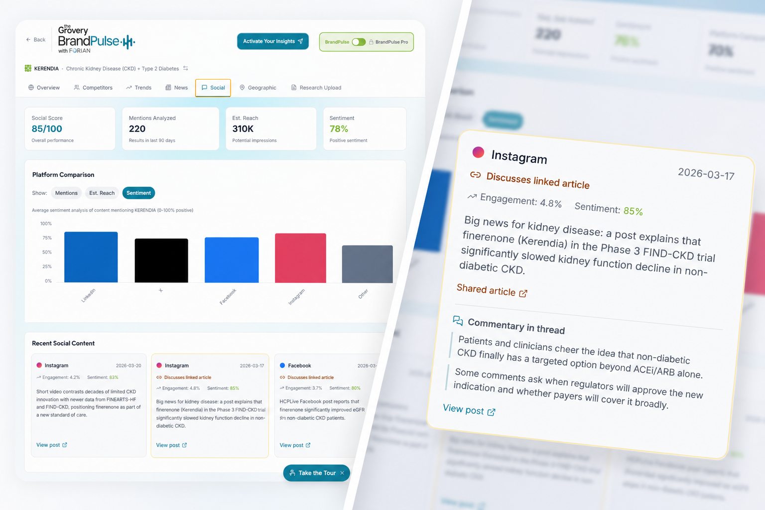 BrandPulse PRO social insights